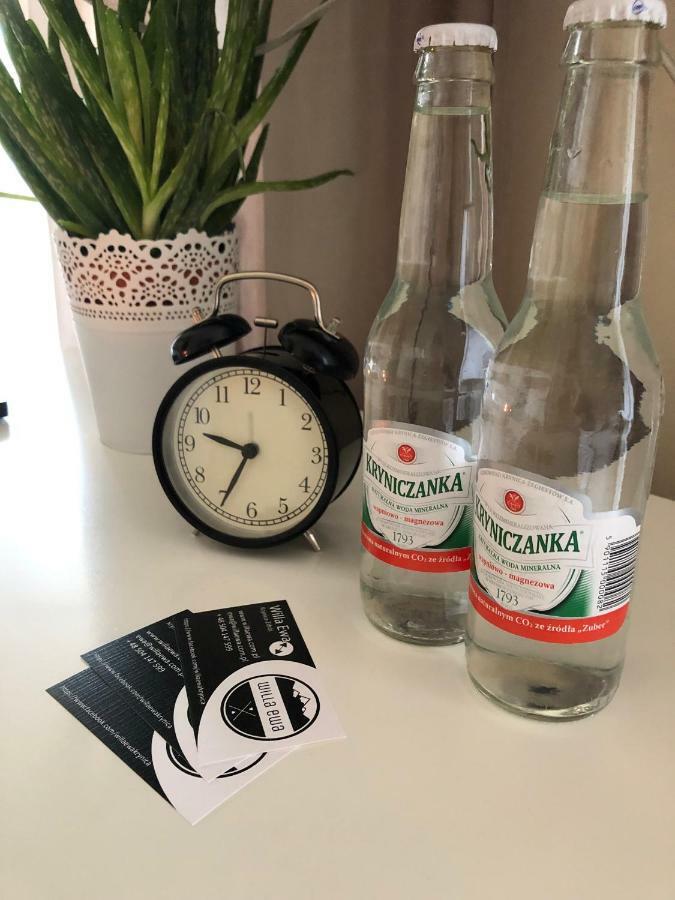 Willa Ewa Krynica Zdroj Eksteriør billede